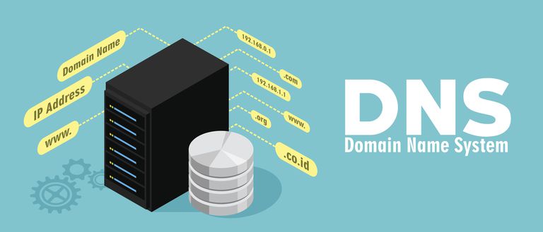 DNS چیست؟  چطور کار می کند؟