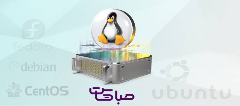 هاست لینوکس چیست